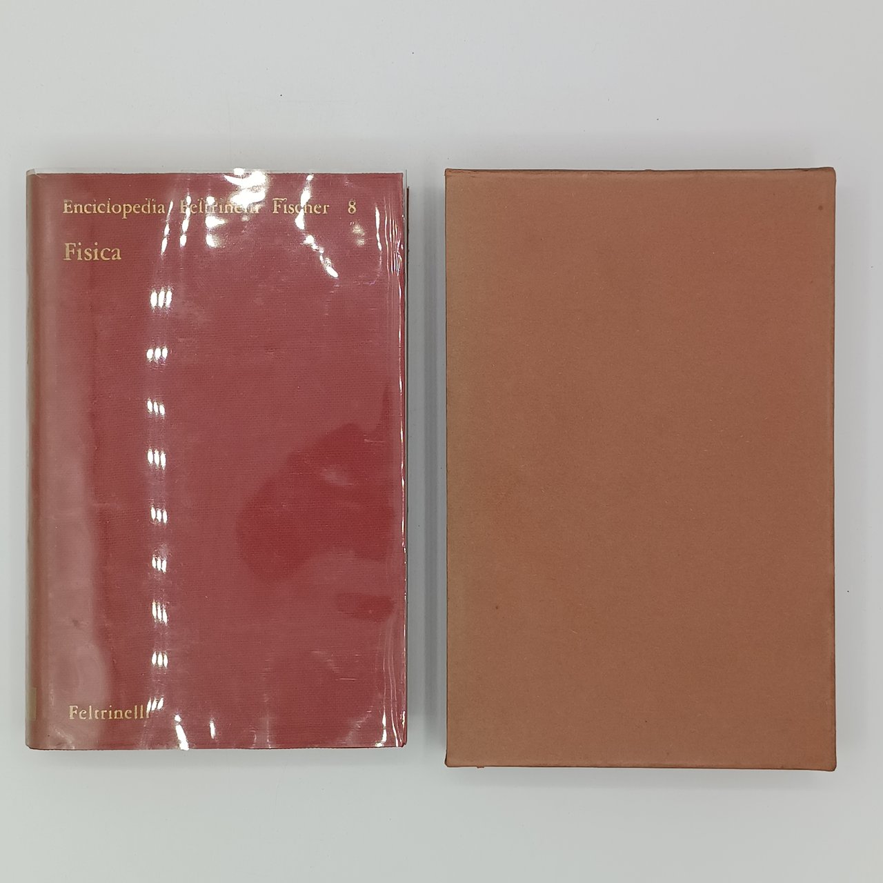 Fisica (Enciclopedia Feltrinelli Fischer 8)
