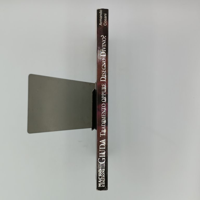 Giuda. Tradimento oppure disegno divino