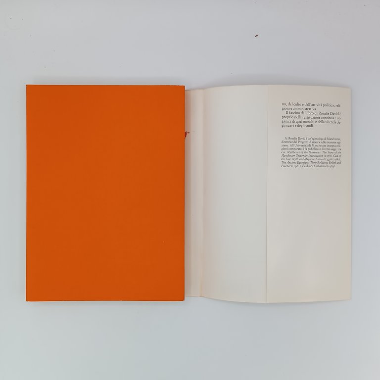 I costruttori delle piramidi | Immagine Gallery 5
