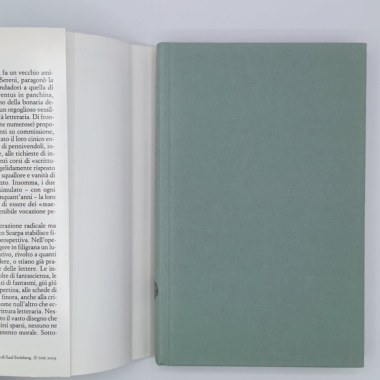 I ferri del mestiere. Manuale involontario di scrittura con esercizi …