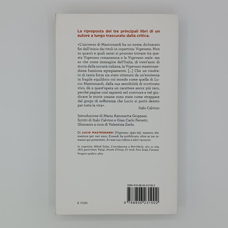 Il maestro di Vigevano