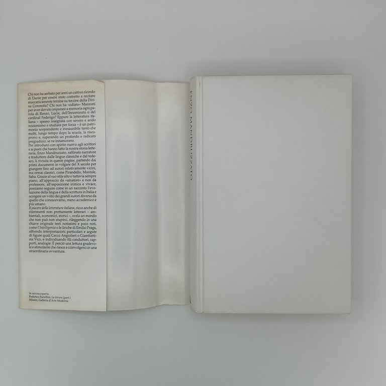 Il piacere della letteratura italiana
