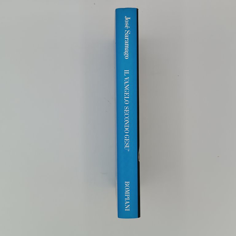 Il Vangelo secondo Gesù