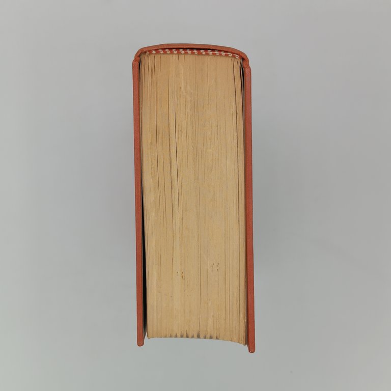 L'istinto della caccia | Immagine Gallery 6