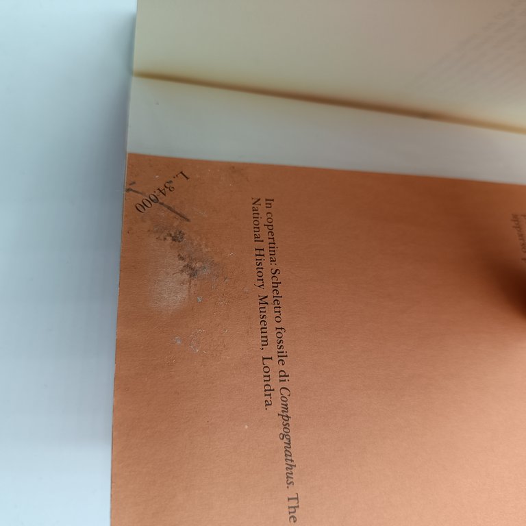 La grande moria dei dinosauri