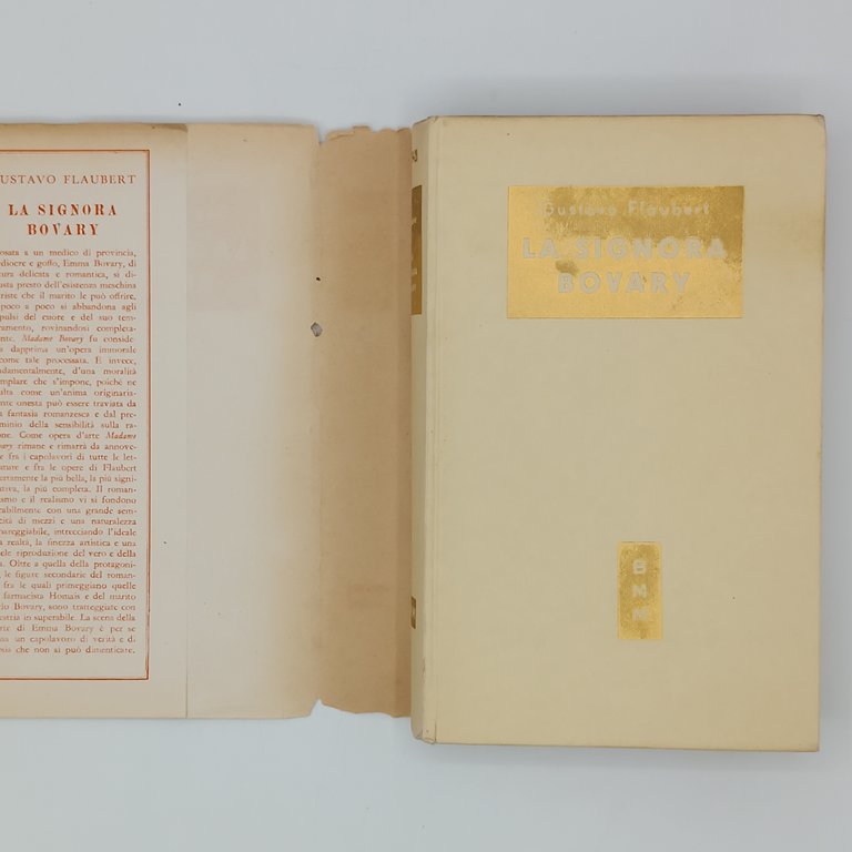 La signora Bovary