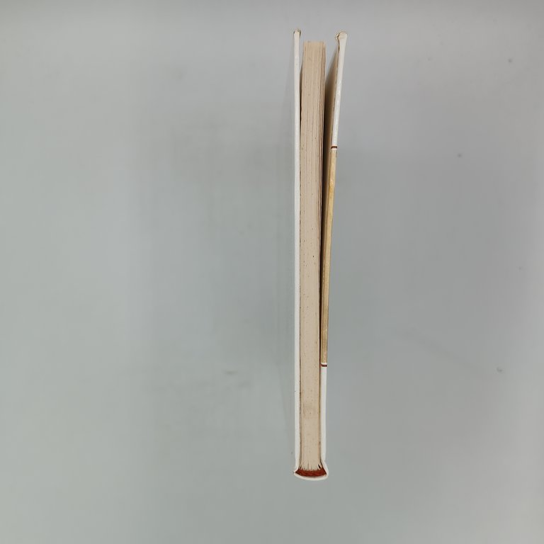 Manoscritto trovato in una bottiglia | Immagine Gallery 4