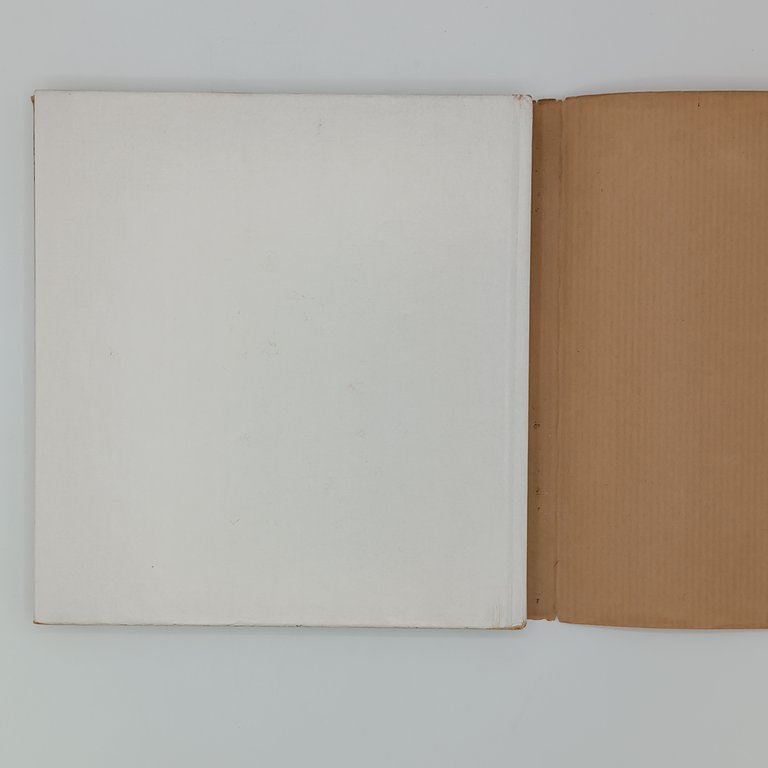 Manuale ufficiale del sesso