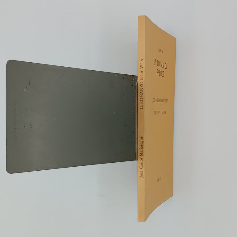 Il romanzo e la vita