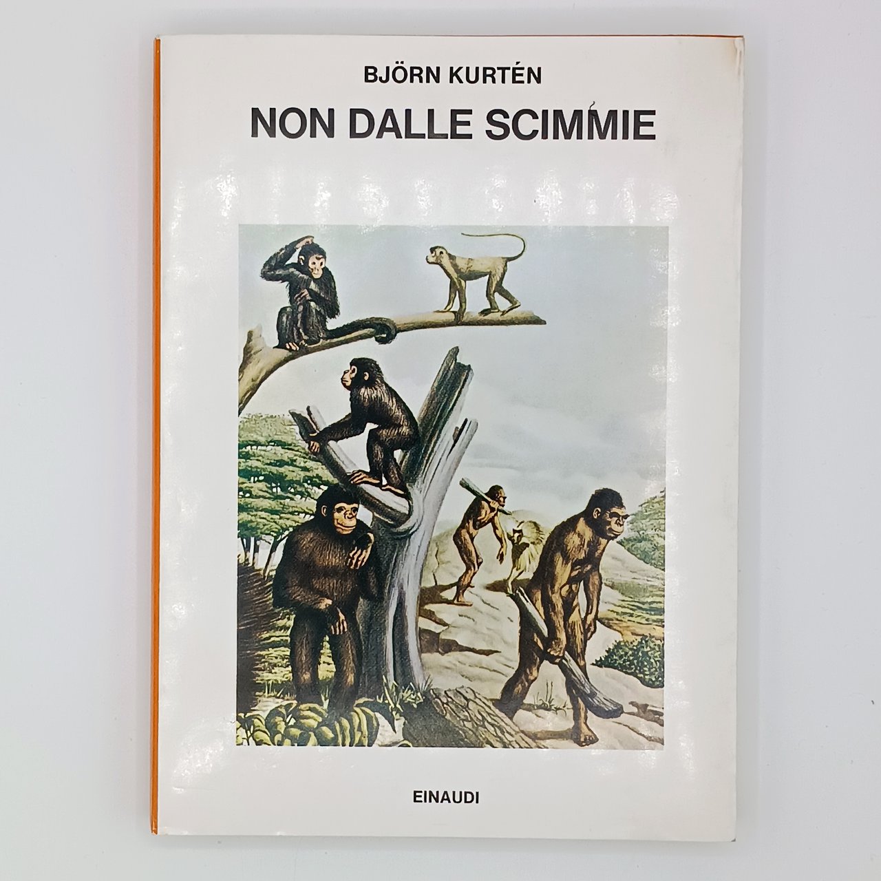 Non dalle scimmie