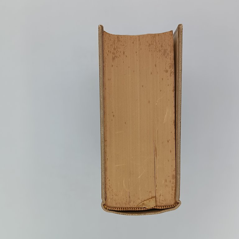 Orlando Furioso | Immagine Gallery 6
