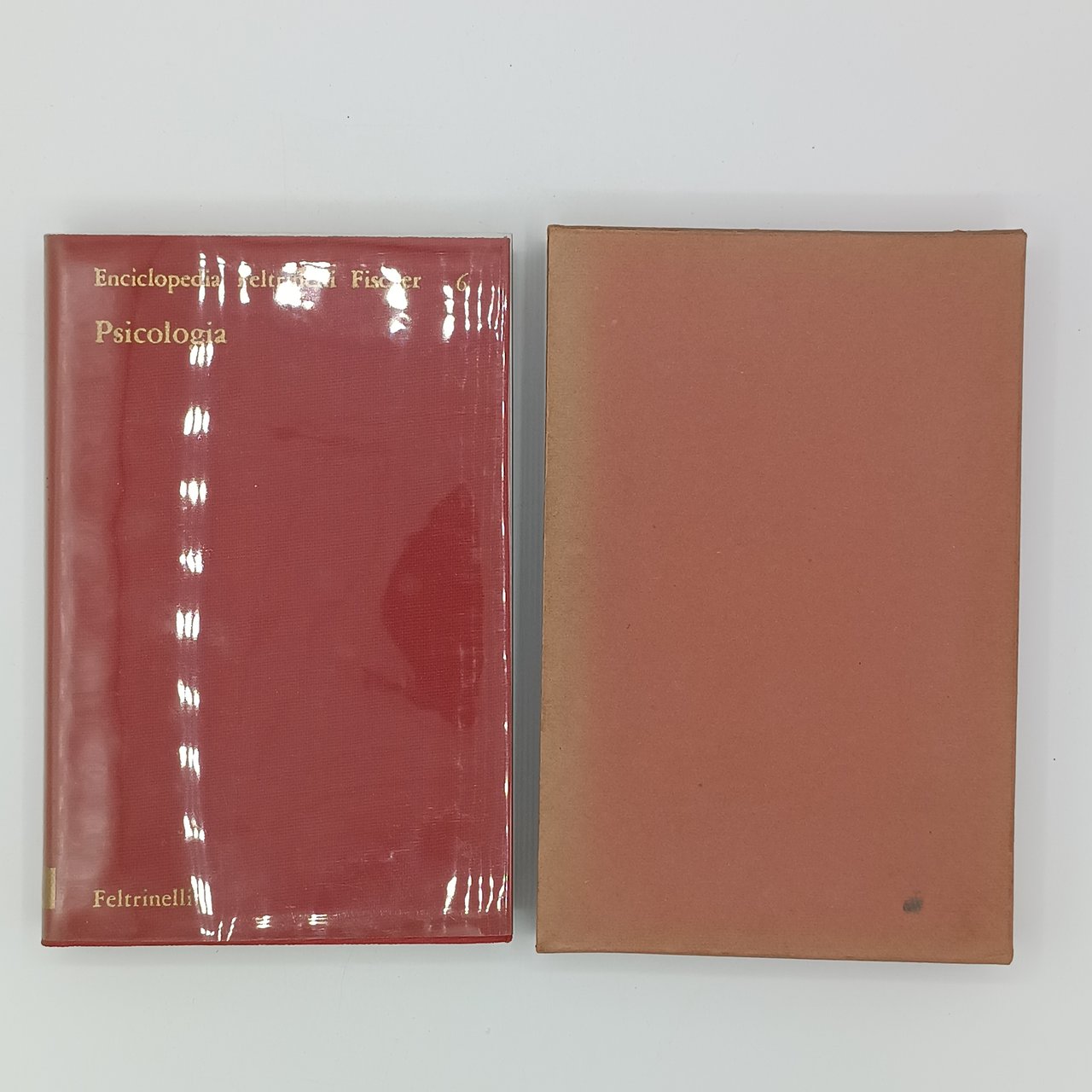 Psicologia (Enciclopedia Feltrinelli Fischer 6)