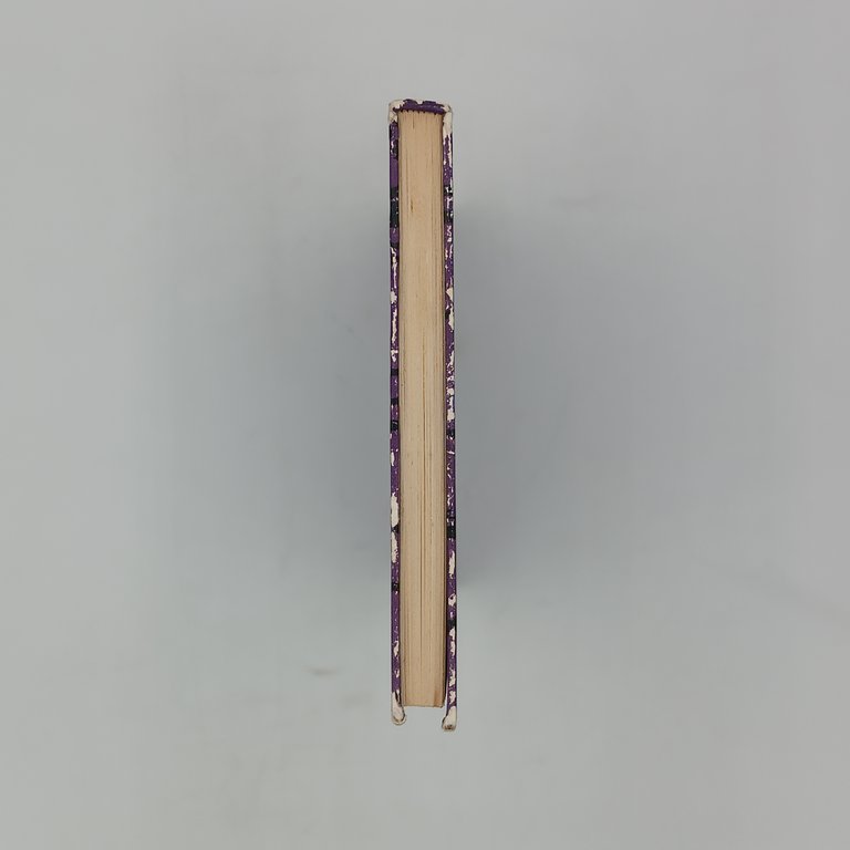 Ricordi di uno schiavo fuggiasco | Immagine Gallery 6