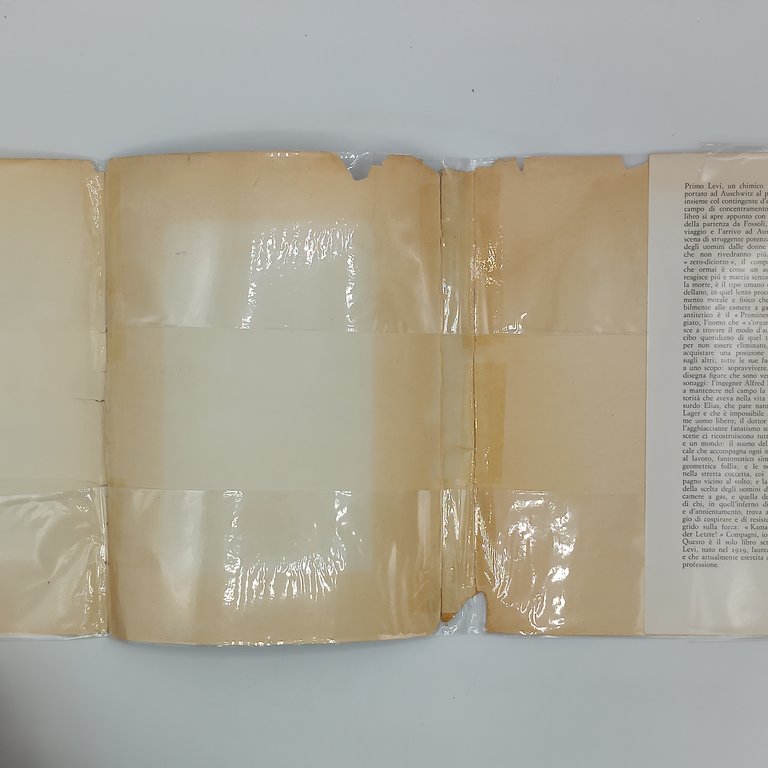 Se questo è un uomo