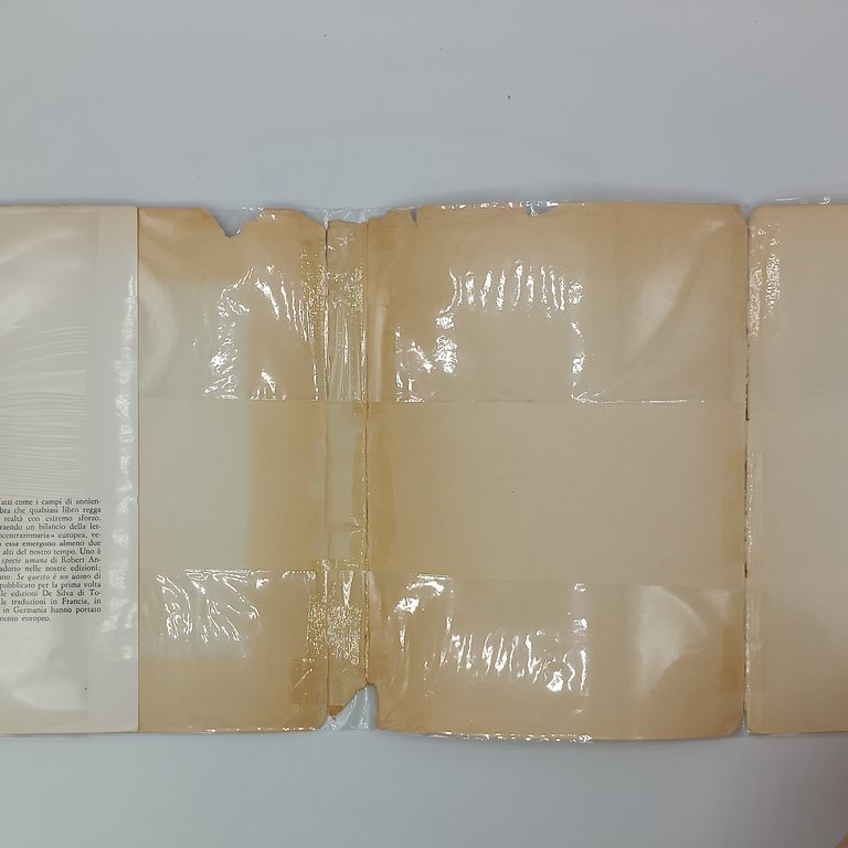 Se questo è un uomo