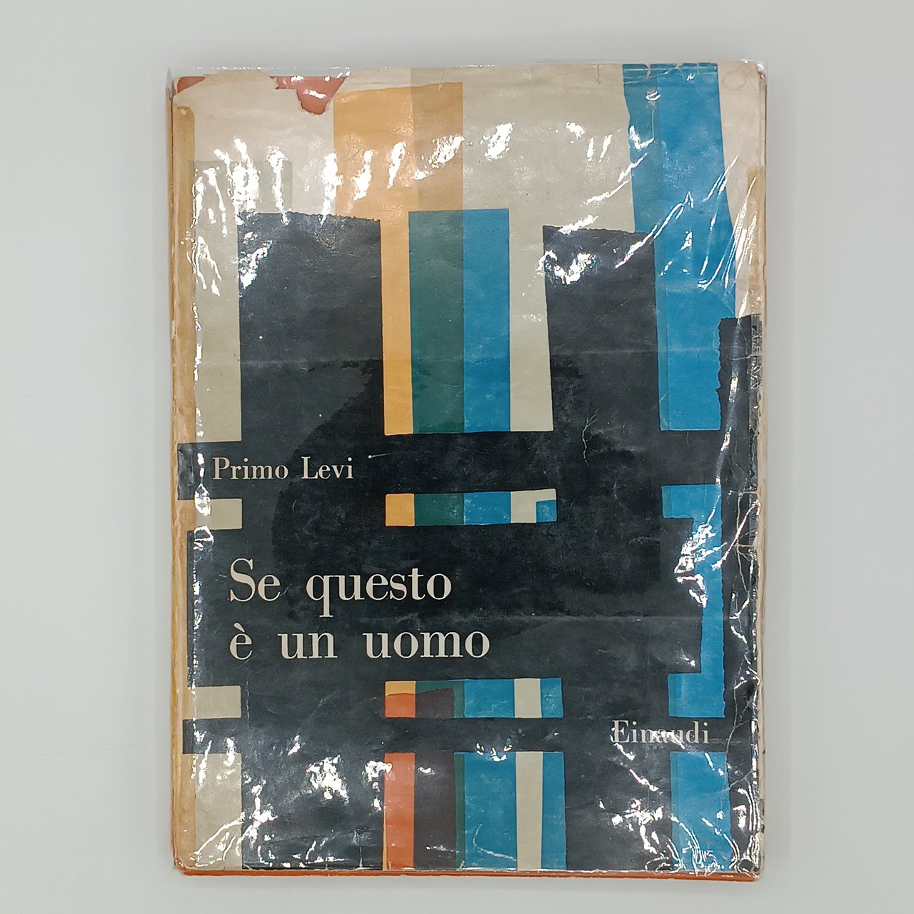 Se questo è un uomo