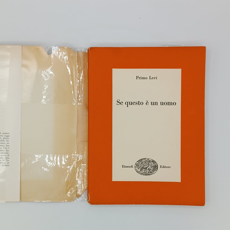 Se questo è un uomo