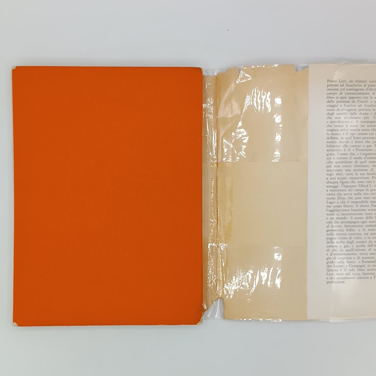 Se questo è un uomo