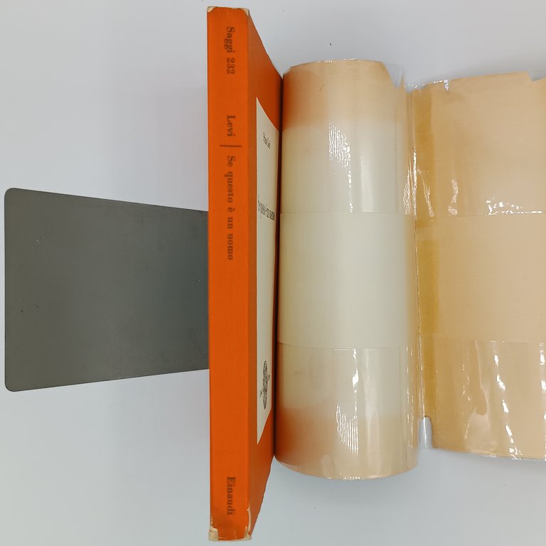 Se questo è un uomo