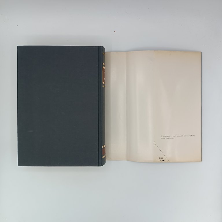Storia della follia | Immagine Gallery 5