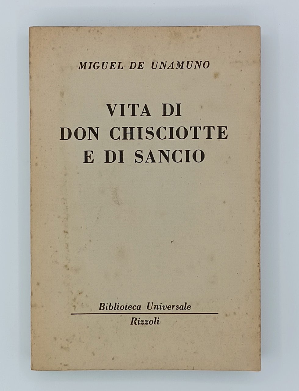 Vita di Don Chisciotte e di Sancio