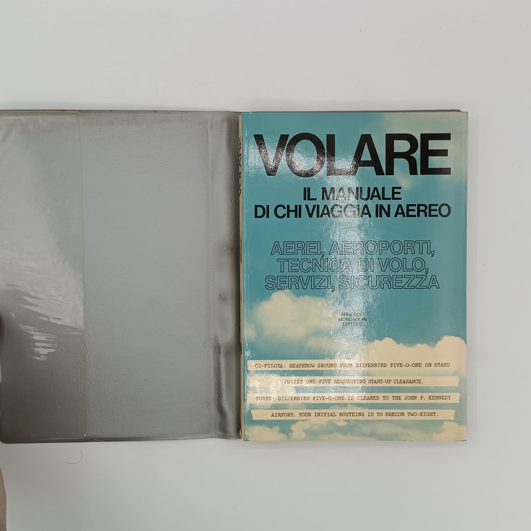 Volare. Il manuale di chi viaggia in aereo