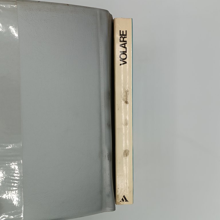 Volare. Il manuale di chi viaggia in aereo