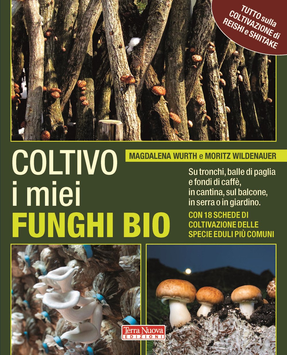 Coltivo i miei funghi bio. Sui tronchi, balle di paglia …