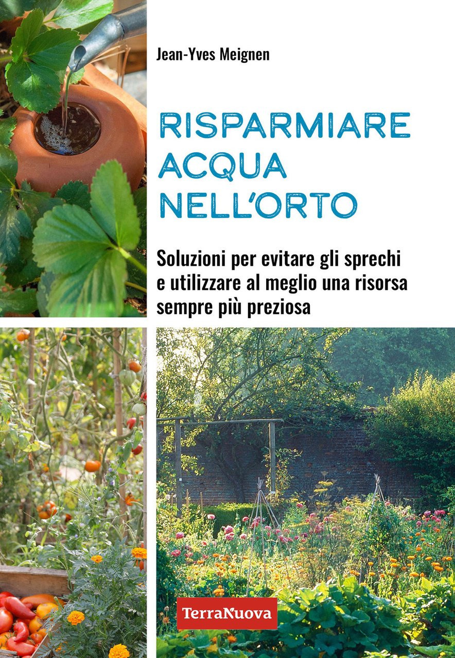 Risparmiare acqua nell'orto. Soluzioni per evitare gli sprechi e utilizzare …