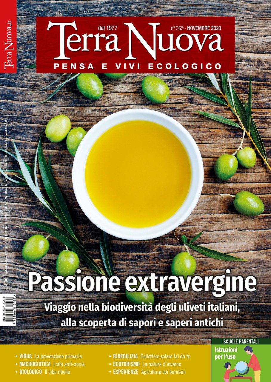 Terra nuova. Vol. 10: Novembre