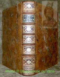 Questions sur l’ordonnance de Louis XIV, du mois d’Avril 1667, … | Immagine principale