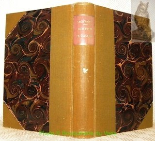 Die Errichtung des Bistums St. Gallen.