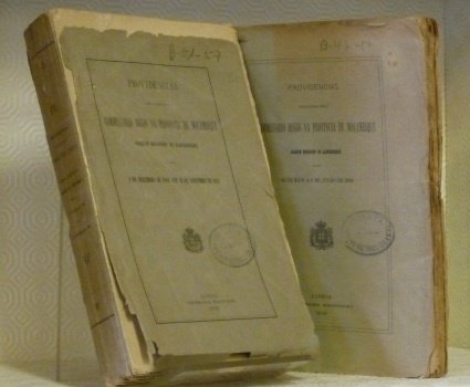 Providencias publicadas pelo commissario regio na provincia de Moçambique. 2 … | Immagine principale