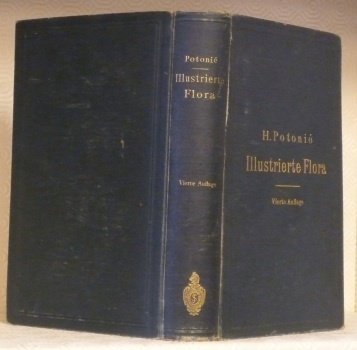 Illustrierte Flora von Nord- und Mittel-Deutschland mit einer Einführung in … | Immagine principale