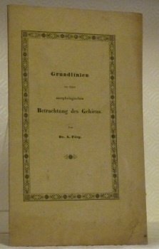 Grundlinien zu einer morphologischen Betrachtung des Gehirns. | Immagine principale