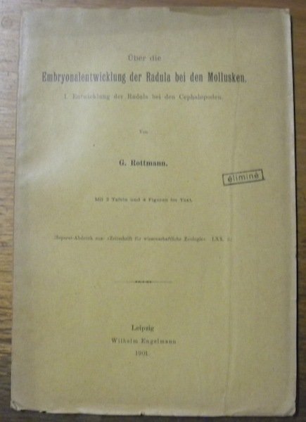 Über die Embryonalentwicklung der Radula bei den Mollusken. I. Entwicklung … | Immagine principale