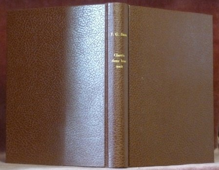 Clartés dans leur nuit. Roman.