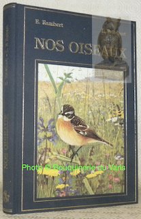 Nos oiseaux 50 monographies d’oiseaux illustrées en couleurs par Léo-Paul …