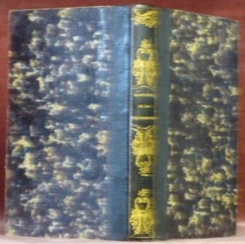 Histoire de la révolution religieuse ou de la Réforme Protestante … | Immagine principale