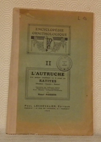 L’autruche. Avec quelques compléments sur le groupe des Ratites (Nandous-Casoars-Emeus). … | Immagine principale