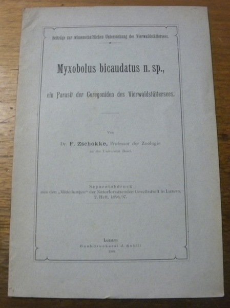 Myxobolus bicaudatus n.sp., ein Parasit der Coregoniden Viewalldstättersees. Separatabdruck aus …