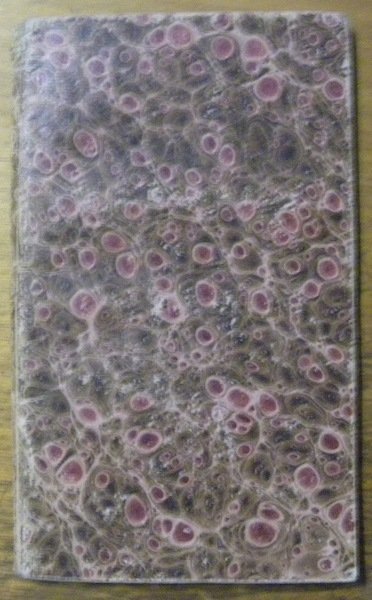 Catalogus Sociorum et Officiorum Provinciae Italiae Societatis Jesu Anno MDCCCXXIX …