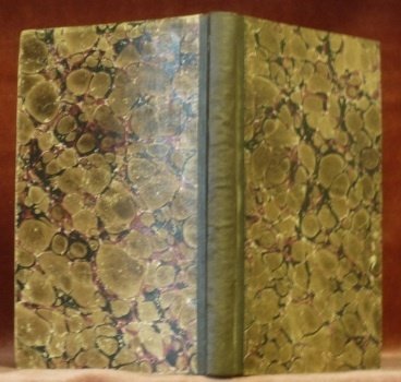 Geschichte des Intitutes der barmherzigen Schwestern vom heiligen Kreuze in …