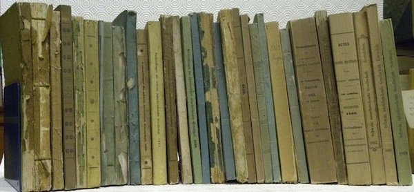 VERHANDLUNGEN der Schweizerischen Naturforschenden Gesellschaft. Actes de la Société Helvétique … | Immagine principale