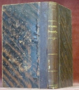 Hygiène des animaux domestiques. | Immagine principale