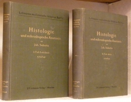 Lehrbuch der Histologie und mikroskopischen Anantomie des Menschen. Vierte, stark … | Immagine principale