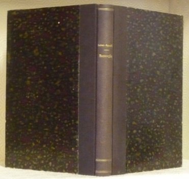 Le Diete Imperiali di Roncaglia e la navigazione del Po …