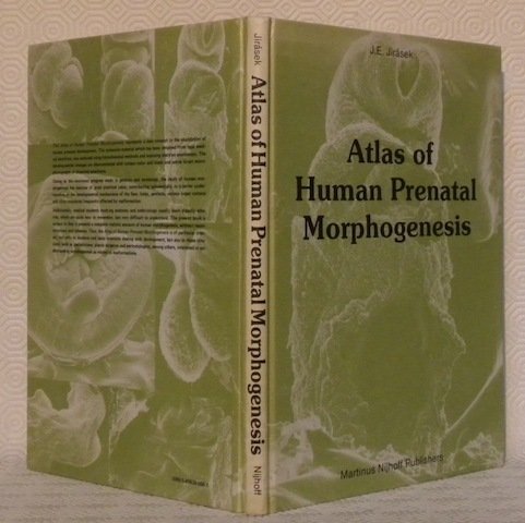 Atlas of human prenatal morphogenesis. With the technical assistance of …