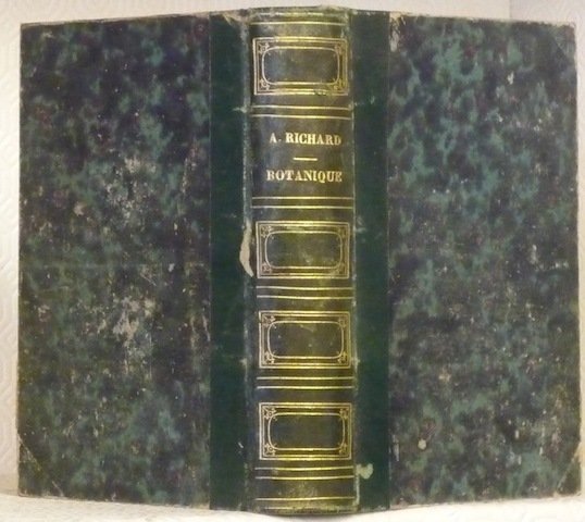 Nouveaux éléments de botanique contenant l’organographie, l’anatomie, la physiologie végétales … | Immagine principale