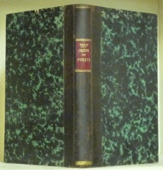 Traité de la culture des forêts ou de l’application des … | Immagine principale